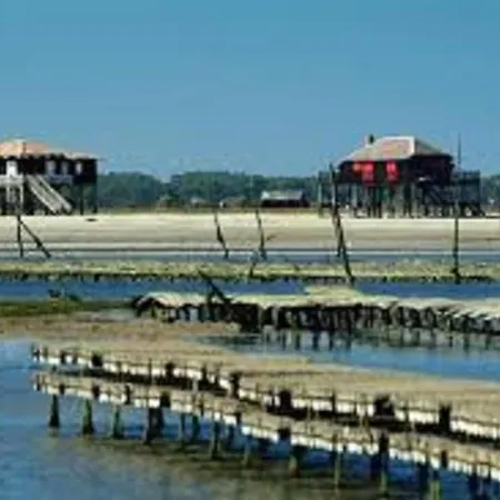 En Centre-ville D'arcachon Avec Balcon, Parking Prive Et Wi-fi, A 300m De La - Fr-1-374-28 Apartament
