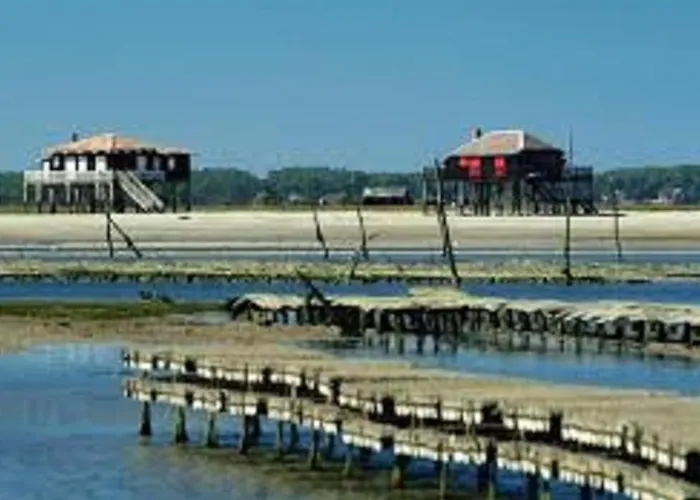 En Centre-ville D'arcachon Avec Balcon, Parking Prive Et Wi-fi, A 300m De La - Fr-1-374-28 Apartment